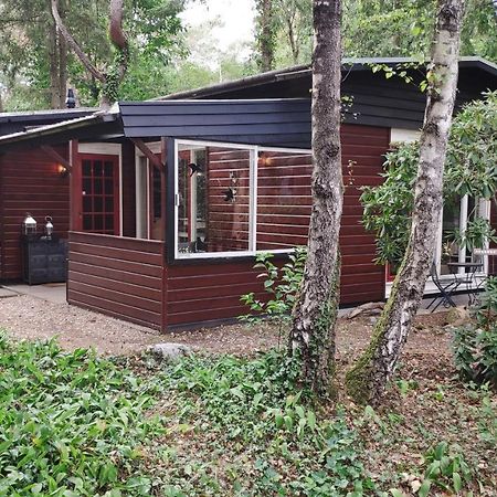 Bosbungalow De Eekhoorn Nunspeet Exteriör bild