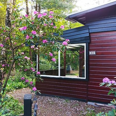 Bosbungalow De Eekhoorn Nunspeet Exteriör bild
