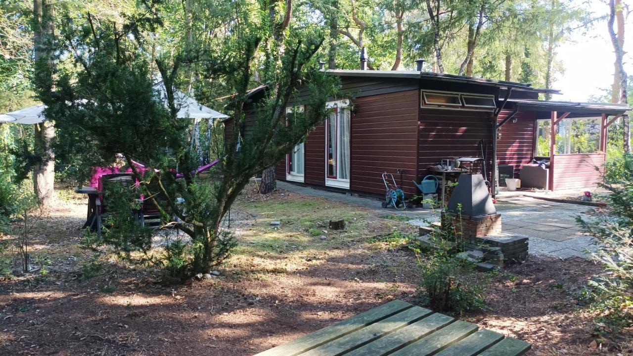 Bosbungalow De Eekhoorn Nunspeet Exteriör bild