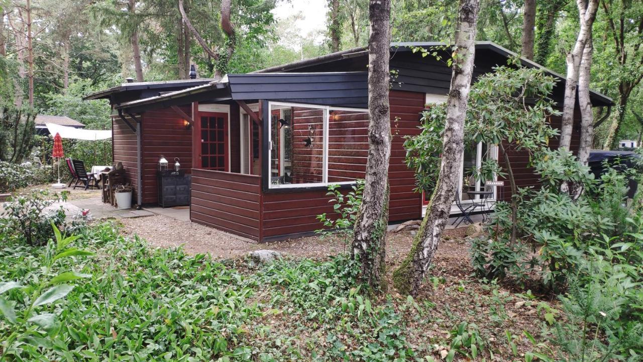 Bosbungalow De Eekhoorn Nunspeet Exteriör bild