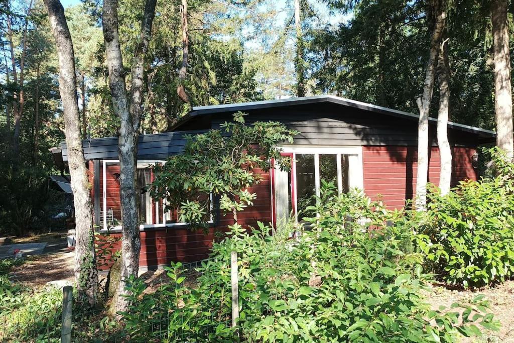 Bosbungalow De Eekhoorn Nunspeet Exteriör bild