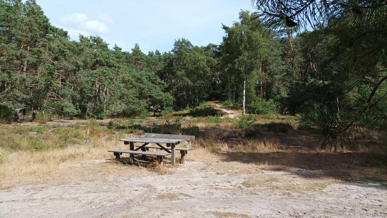 Bosbungalow De Eekhoorn Nunspeet Exteriör bild
